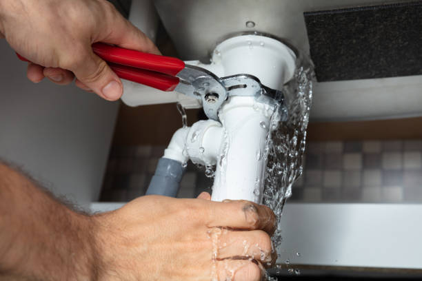Best Professional water damage repair  in Roseau, MN