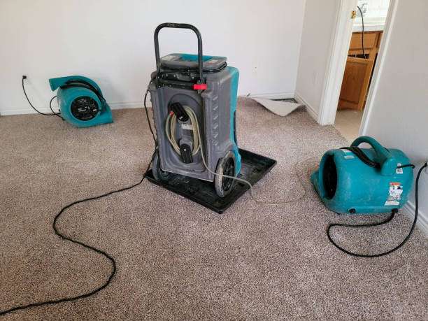 Best Residential water damage restoration  in Roseau, MN