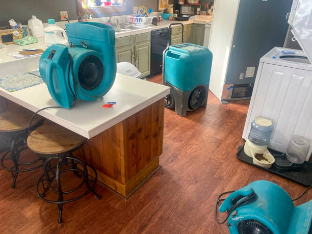 Best Fire Damage Restoration  in Roseau, MN