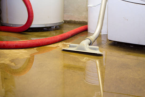 Best Commercial water damage restoration  in Roseau, MN