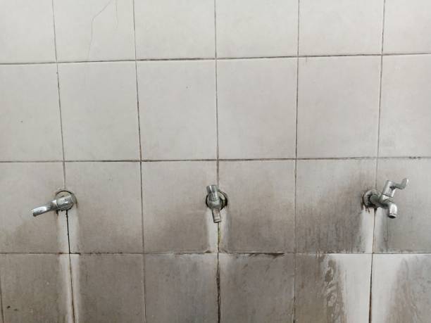 Best 24/7 water damage repair  in Roseau, MN