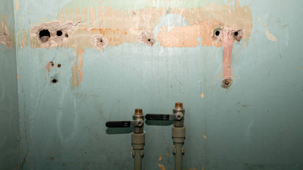 Best Commercial water damage restoration  in Roseau, MN