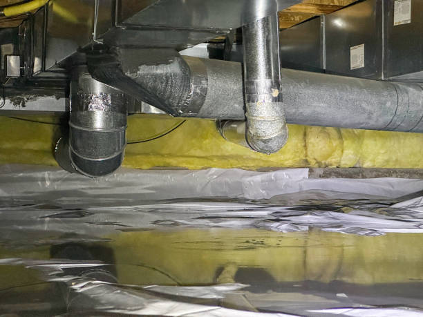 Sewage cleanup and water damage restoration in Roseau, MN